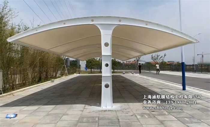 电动车充电棚 (66)